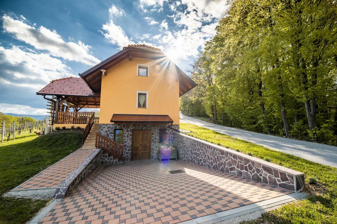Globocice Holiday Home Blue Sky מראה חיצוני תמונה
